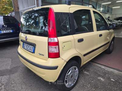 Fiat Panda 1.2 natural power Dynamic usata Faenza