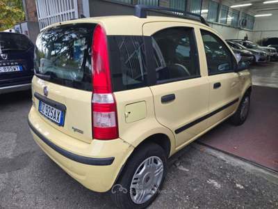 Fiat Panda 1.2 natural power Dynamic usata Faenza