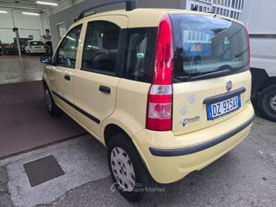 Fiat Panda 1.2 natural power Dynamic usata Faenza