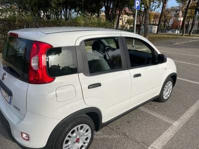 Fiat Panda hybrid Bianco usata Misano Adriatico