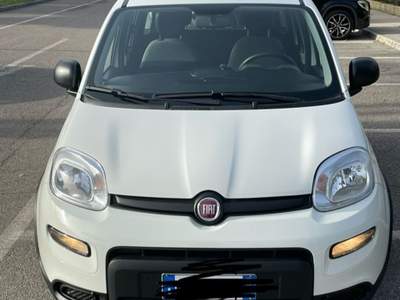 Fiat Panda hybrid Bianco usata Misano Adriatico