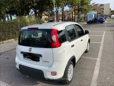 Fiat Panda hybrid Bianco usata Misano Adriatico