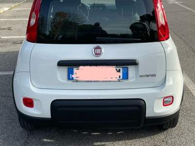 Fiat Panda hybrid Bianco usata Misano Adriatico