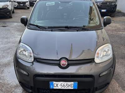 Fiat Panda 1.0 FireFly S&S Hybrid City Life Grigio usata Afragola