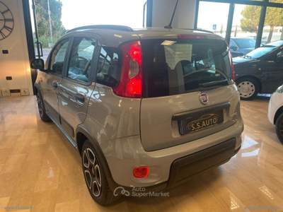 Fiat Panda Panda 1.0 FireFly S&S Hybrid Sport Grigio usata San Mauro Pascoli