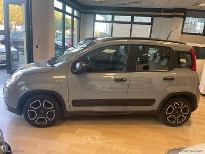 Fiat Panda Panda 1.0 FireFly S&S Hybrid Sport Grigio usata San Mauro Pascoli