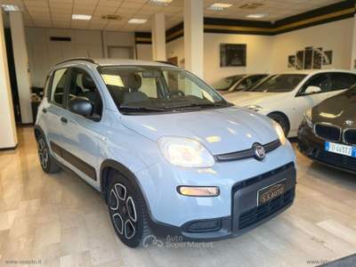 Fiat Panda Panda 1.0 FireFly S&S Hybrid Sport Grigio usata San Mauro Pascoli