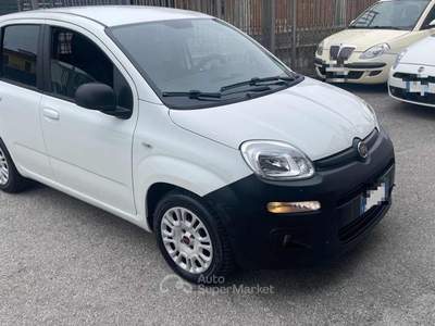 Fiat Panda 1.2 GPL Pop Van 2 posti Autocarro Bianco usata Sarno