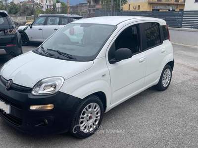 Fiat Panda 1.2 GPL Pop Van 2 posti Autocarro Bianco usata Sarno