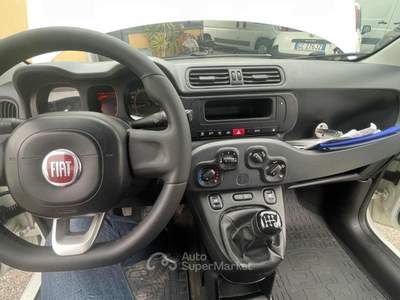 Fiat Panda 1.2 GPL Pop Van 2 posti Autocarro Bianco usata Sarno