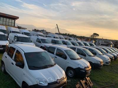 Fiat Panda 1.2 GPL Pop Van 2 posti Km Certificati Bianco usata Sarno
