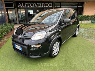 Fiat Panda 1.0 FireFly S&S Hybrid 9000KM OK NEOPATENTATI Nero usata Curno