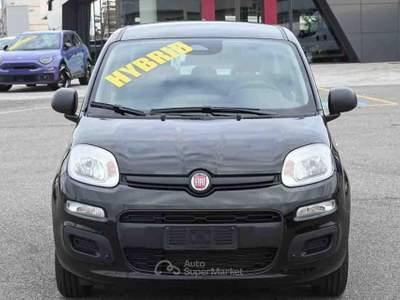 Fiat Panda 1.0 FireFly S&S Hybrid Icon Nero usata Pianezza