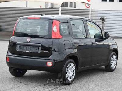 Fiat Panda 1.0 FireFly S&S Hybrid Icon Nero usata Pianezza