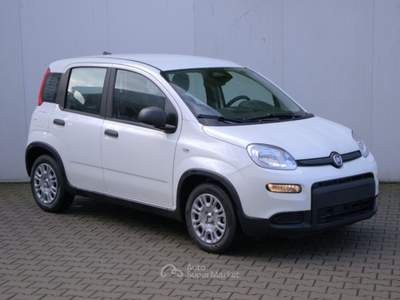 Fiat Panda 1.0 Hybrid 70cv KM Zero Bianco usata Cologno Monzese