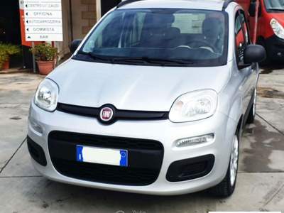 Fiat Panda 1.2 Lounge Argento usata Poggiardo