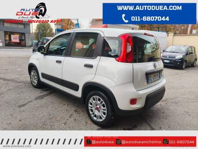 Fiat Panda Panda 1.0 FireFly S&S Hybrid NO VINCOLI FINANZIARI Bianco usata Nichelino