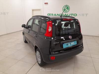 Fiat Panda III -  1.2 Easy 69cv E6 Nero usata Novi Ligure