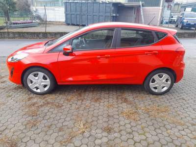 Ford Fiesta 1.0 Ecoboost 100 CV 5 porte Titanium Rosso usata PIURO