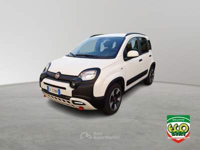 Fiat Panda 1.0 FireFly S&S Hybrid Bianco usata Cassino