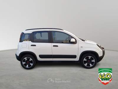 Fiat Panda 1.0 FireFly S&S Hybrid Bianco usata Cassino