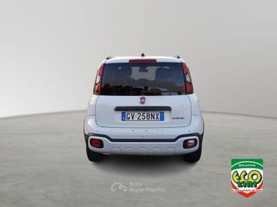 Fiat Panda 1.0 FireFly S&S Hybrid Bianco usata Cassino