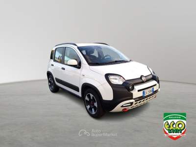 Fiat Panda 1.0 FireFly S&S Hybrid Bianco usata Cassino