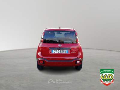 Fiat Panda 1.0 FireFly S&S Hybrid Rosso usata Cassino