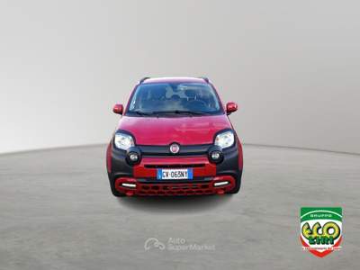 Fiat Panda 1.0 FireFly S&S Hybrid Rosso usata Cassino