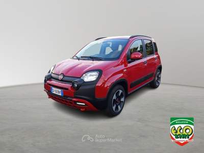 Fiat Panda 1.0 FireFly S&S Hybrid Rosso usata Cassino