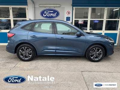 Ford Kuga ST-Line 1.5 Ecoblue 120 CV Blu/Azzurro usata Pignataro Maggiore