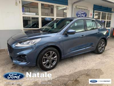 Ford Kuga ST-Line 1.5 Ecoblue 120 CV Blu/Azzurro usata Pignataro Maggiore