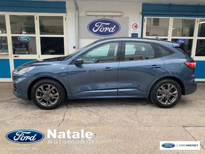 Ford Kuga ST-Line 1.5 Ecoblue 120 CV Blu/Azzurro usata Pignataro Maggiore