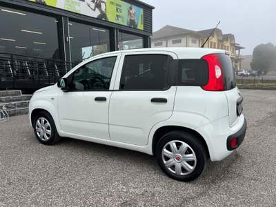 Fiat Panda Panda 1.2 GPL Pop Van 2 posti +IVA Bianco usata Cerea