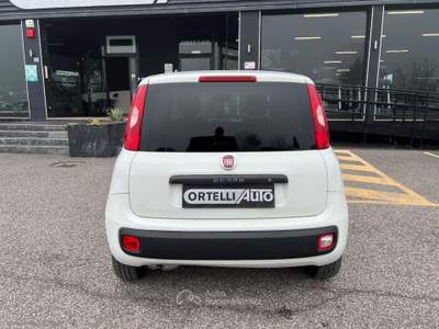 Fiat Panda Panda 1.2 GPL Pop Van 2 posti +IVA Bianco usata Cerea
