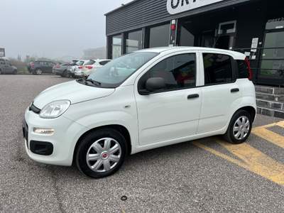 Fiat Panda Panda 1.2 GPL Pop Van 2 posti +IVA Bianco usata Cerea