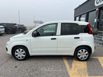 Fiat Panda Panda 1.2 GPL Pop Van 2 posti +IVA Bianco usata Cerea