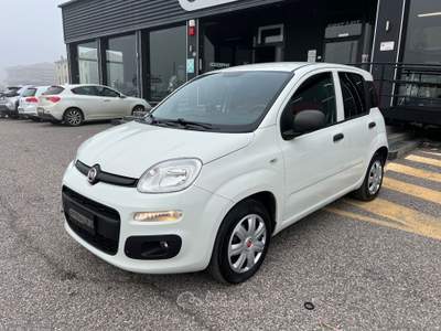 Fiat Panda Panda 1.2 GPL Pop Van 2 posti +IVA Bianco usata Cerea