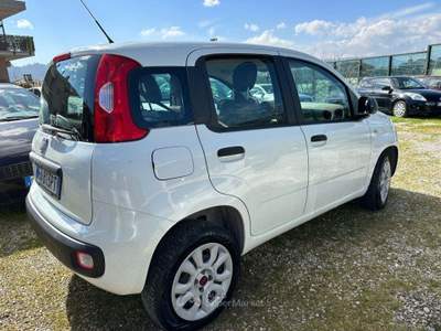 Fiat Panda 0.9 TwinAir Turbo Natural Power Pop Bianco usata Altidona