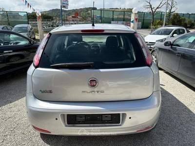 Fiat Punto 1.4 8V 5 porte Natural Power Street Argento usata Altidona