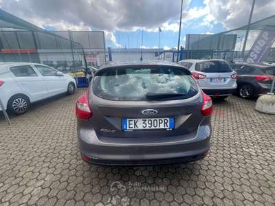 Ford Focus Focus 5p 1.6 tdci Titanium 115cv Grigio usata Torino