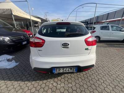 Kia Rio Rio III  5p 1.2 Active eco-dynamics gpl Bianco usata Torino