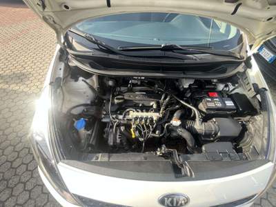 Kia Rio Rio III  5p 1.2 Active eco-dynamics gpl Bianco usata Torino