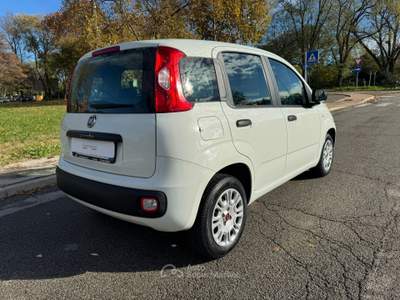 Fiat Panda PER NEO PATENTATI Bianco usata Venezia