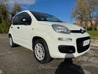 Fiat Panda PER NEO PATENTATI Bianco usata Venezia