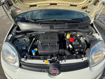 Fiat Panda PER NEO PATENTATI Bianco usata Venezia