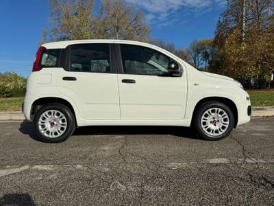 Fiat Panda PER NEO PATENTATI Bianco usata Venezia