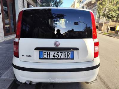 Fiat Panda BENZINA 69CV 5 POSTI Bianco usata CORATO