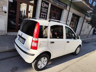 Fiat Panda BENZINA 69CV 5 POSTI Bianco usata CORATO
