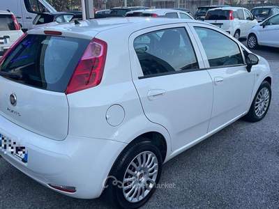 Fiat Punto 1.3 MJT 85CV S&S 5 porte Ok Neopatentati Bianco usata Sarno